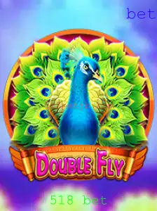 Descubra o Mundo de DoubleFly: Um Guia Completo